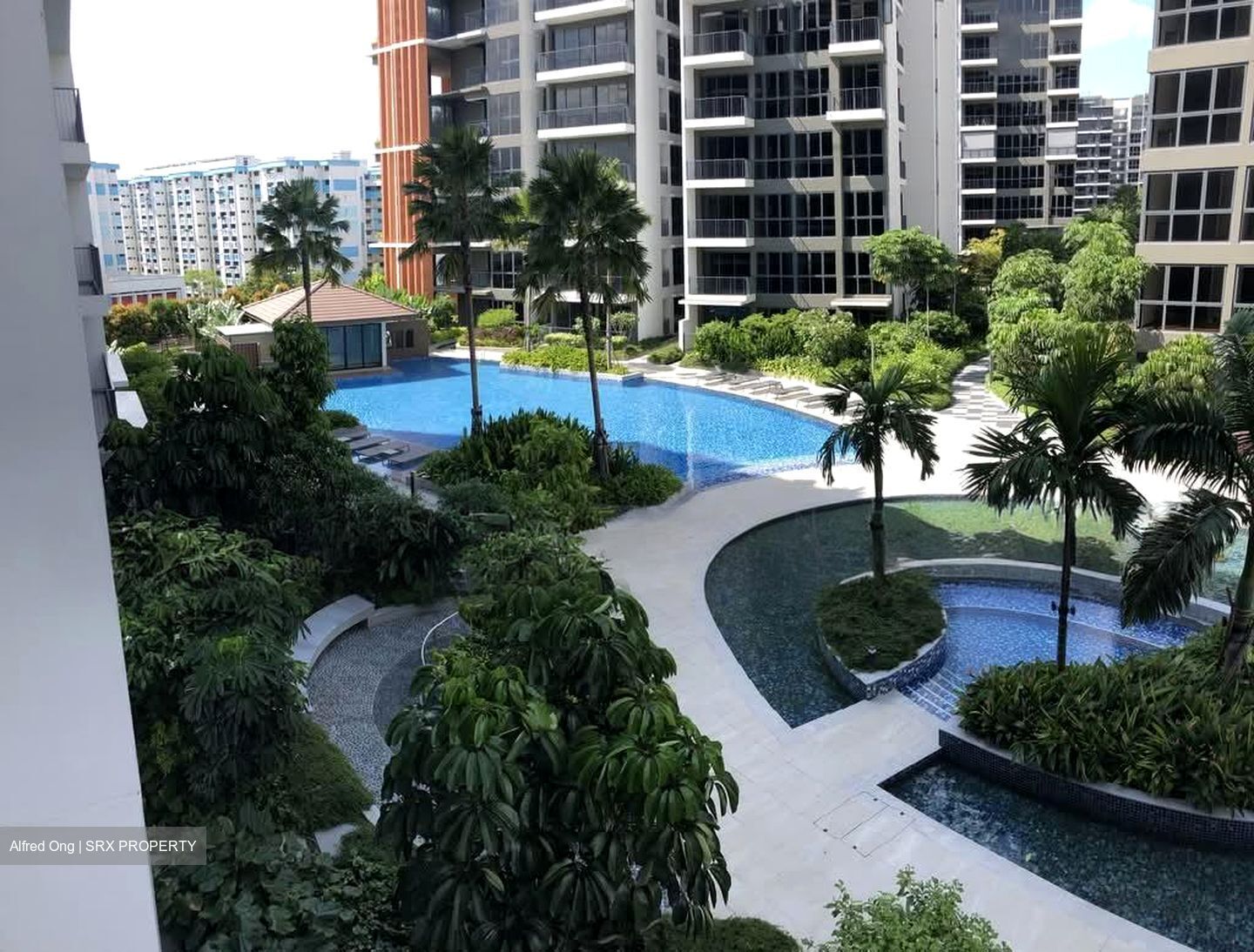 North Park Residences (D27), Apartment #561366541